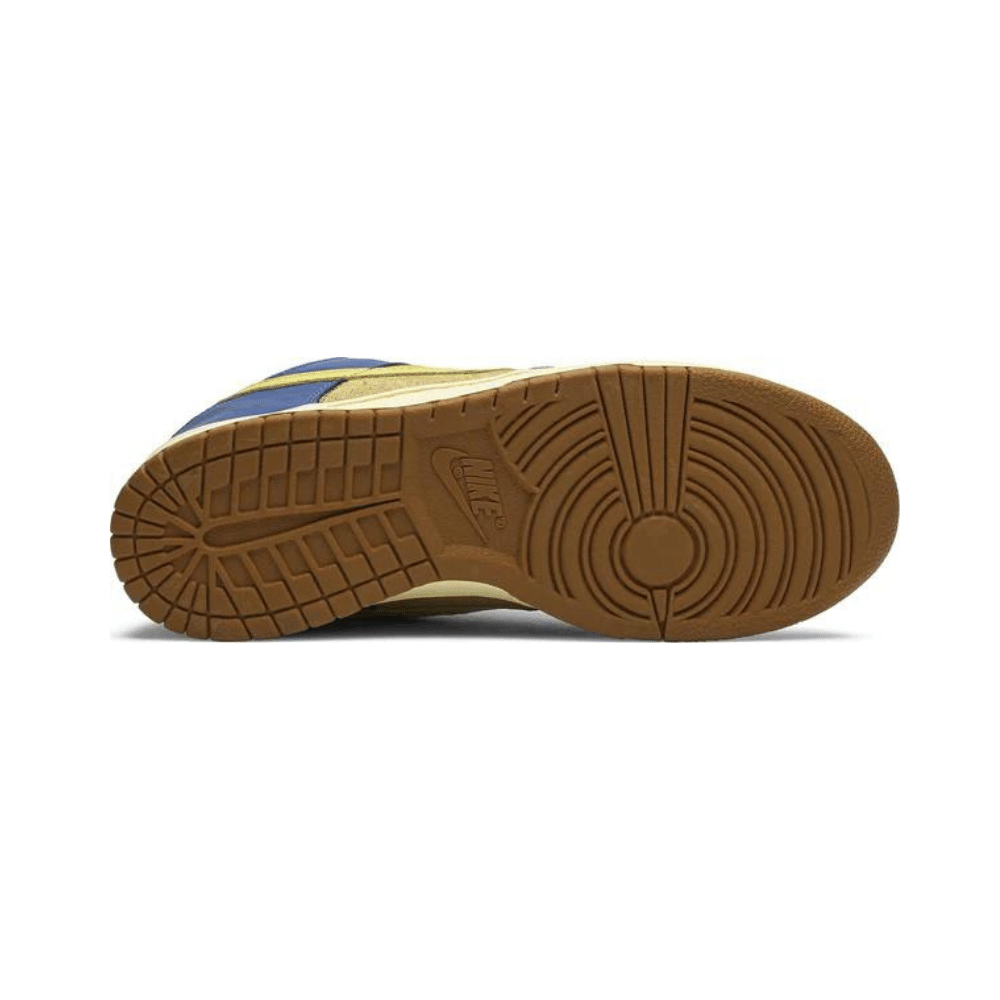 Nike SB Dunk Low Brooklyn Projects