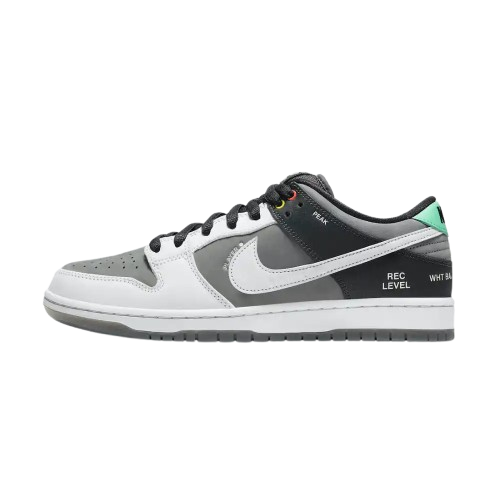 Nike SB Dunk Low VX 1000 Camcorder